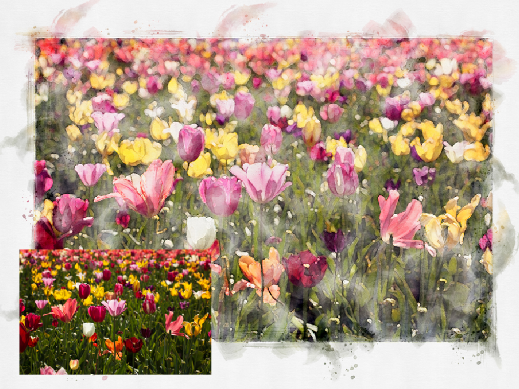 Angie Windheim turns fine art nature photography like this tulip field into digital watercolor for Kindness Roots gratitude cards
