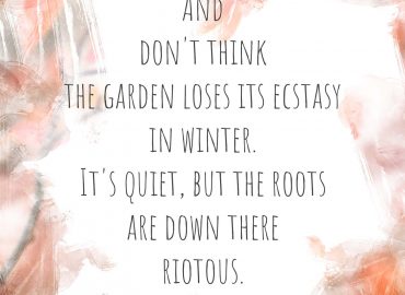 Rumi quote about riotous roots