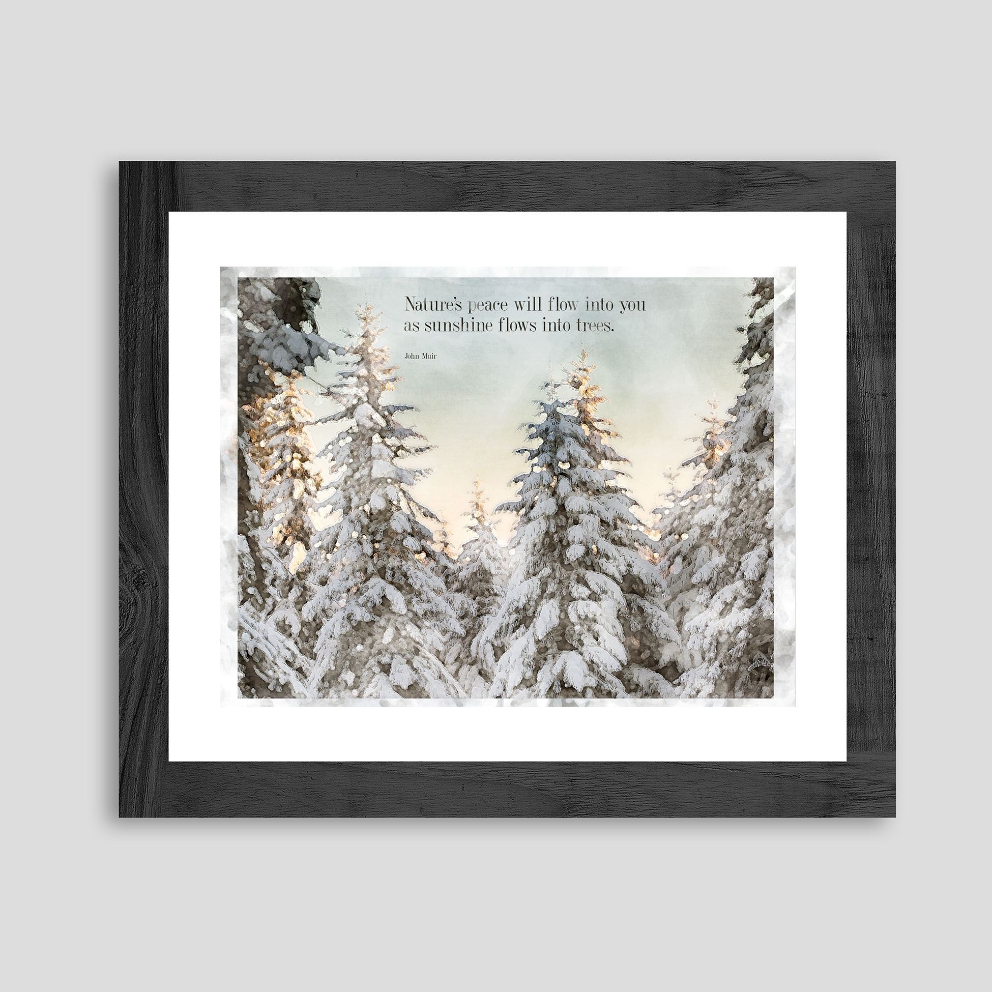 Snow covered firs in watercolor print with John Muir quote.