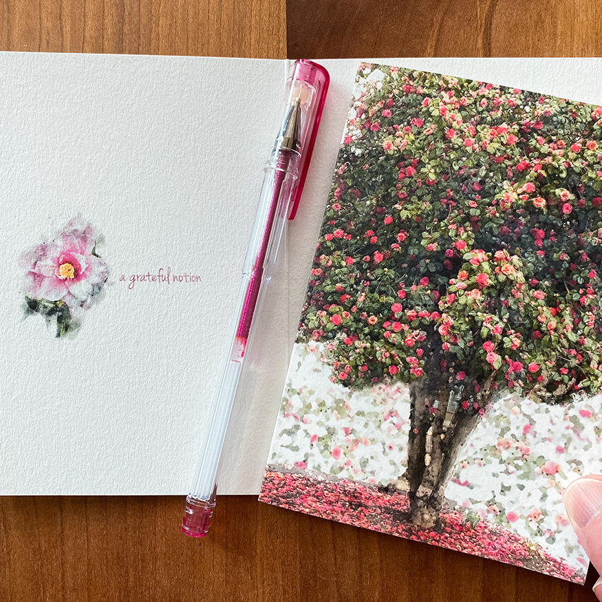 Two gratitude cards. One open with pink camellia and one closed with pink camellia tree plays a pink gel pen.