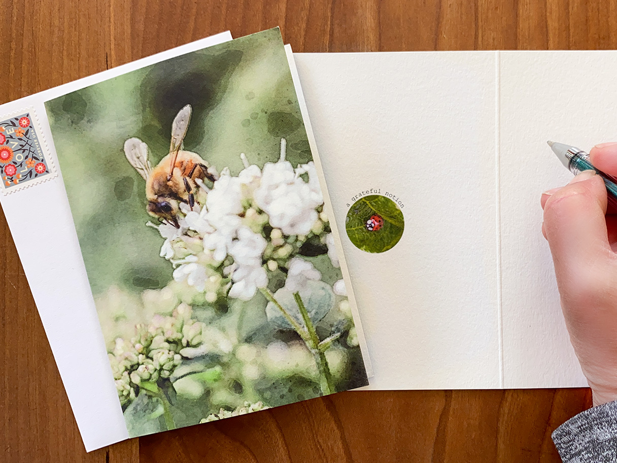 Kindness Roots gratitude card with a honeybee and opened to reveal a watercolor of a lady bug.