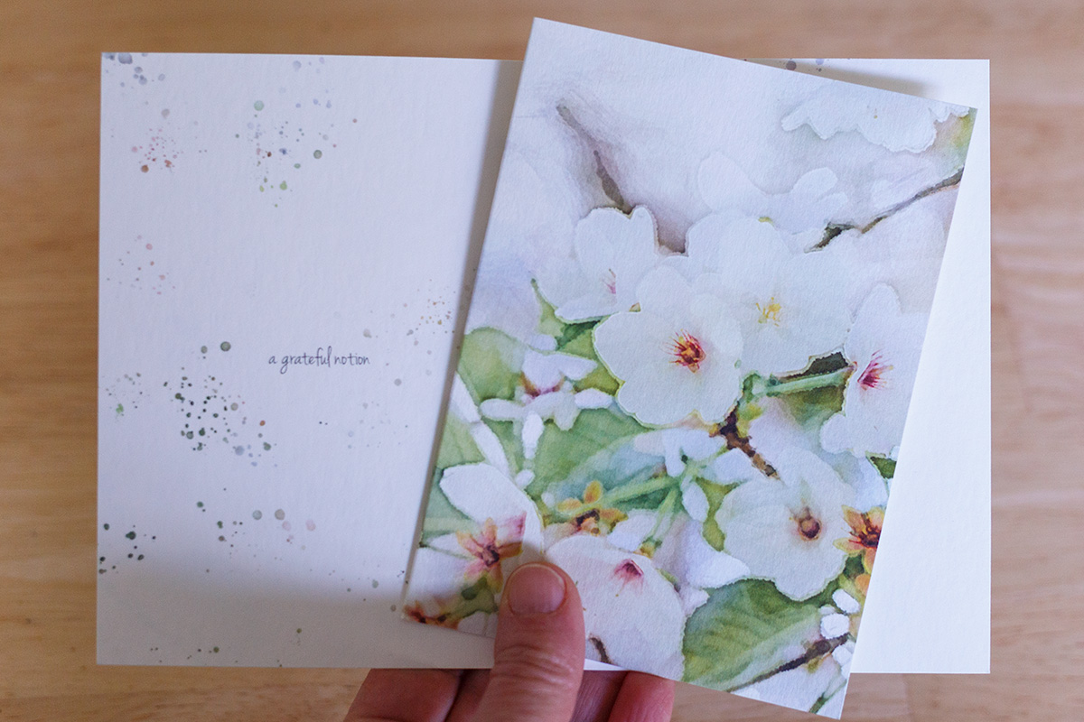 Watercolor of white cherry blossoms on a gratitude card
