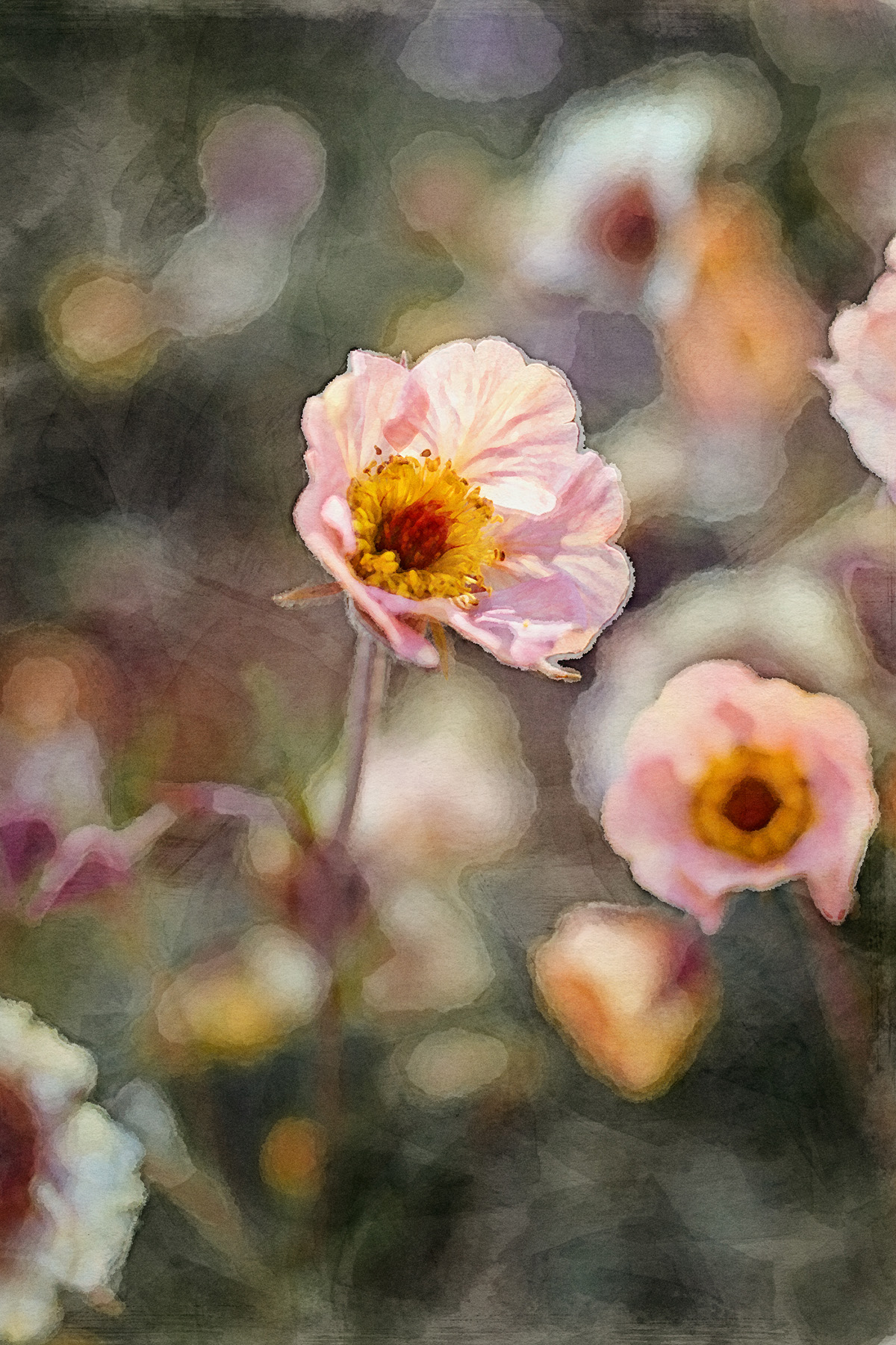 Peach colored Geum Avens watercolor for Kindness Roots by Angie Windheim