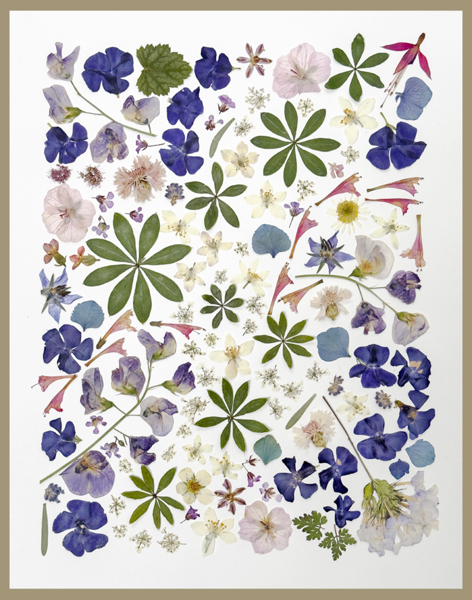 Photo of Angie Windheim's "The Path." A pressed floor collage with blue, green, white and soft pink plant material.