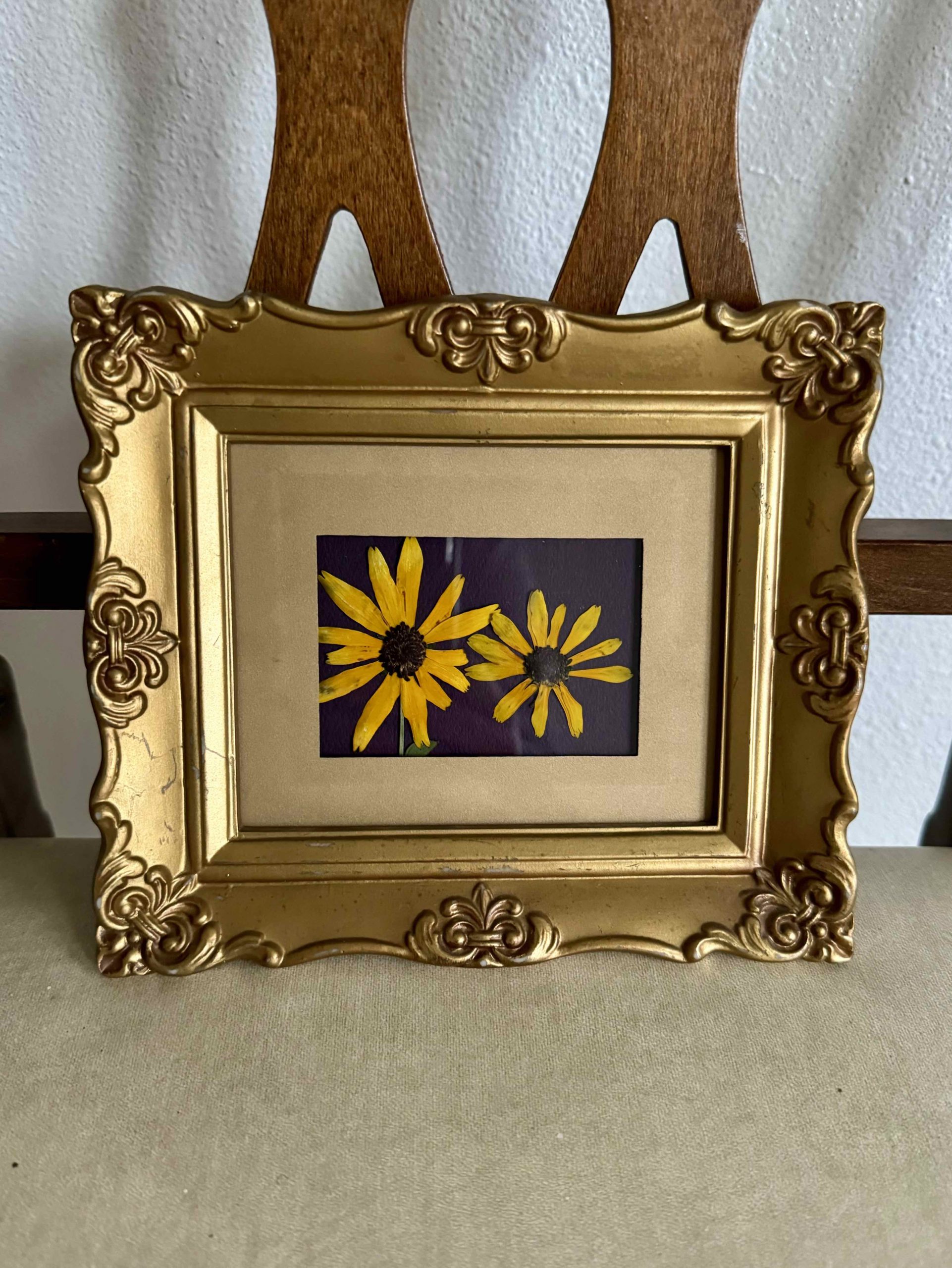 Two pressed black-eyed Susan flowers in a vintage ornate gold frame by Kindness Roots