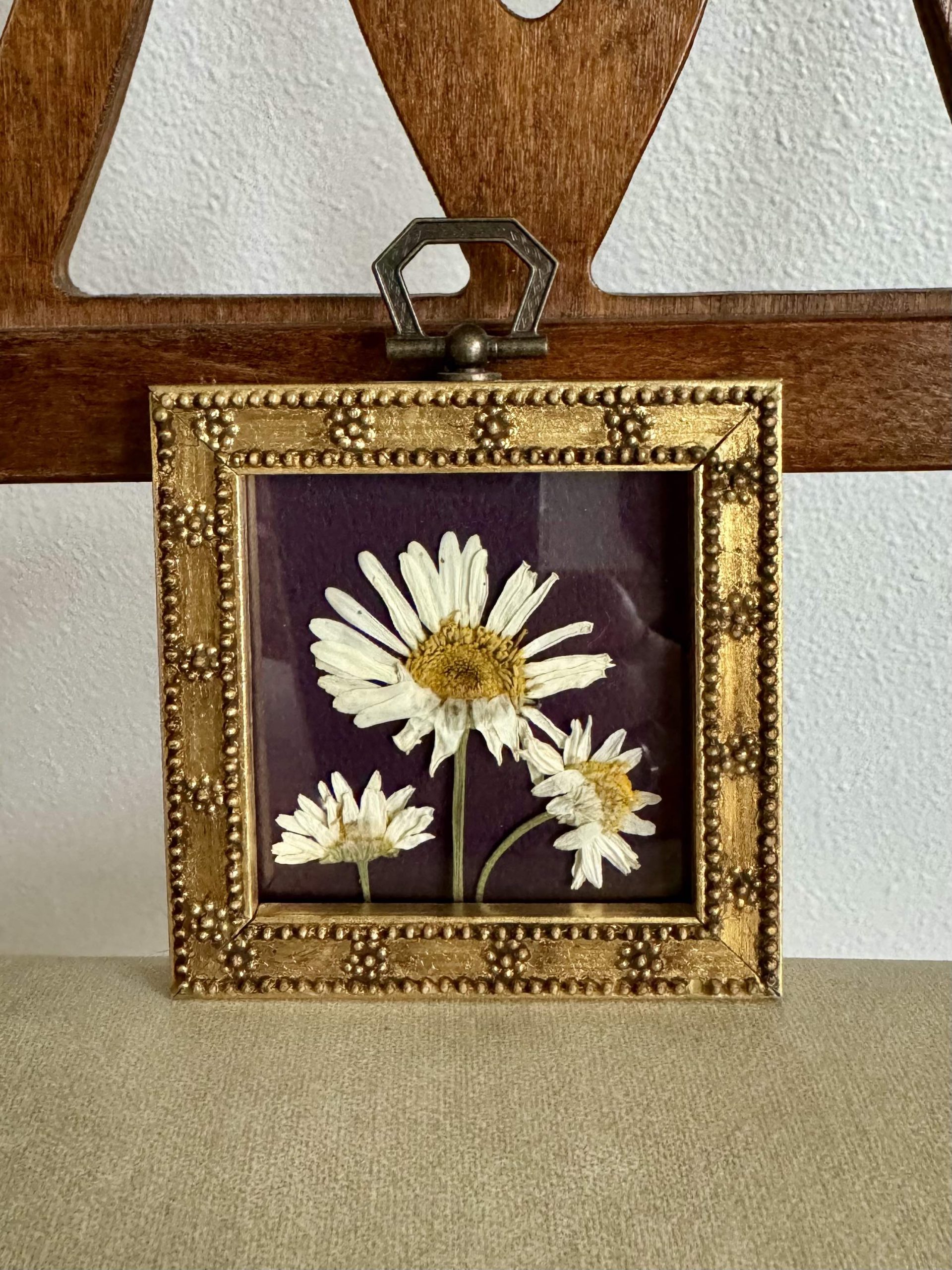 Three pressed white daisy flowers in a square gold vintage frame by Kindness Roots