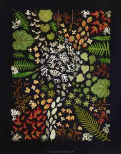 "Come Together" is a pressed plant collage by Angie Windheim featuring a swirl of lichen and plants appearing to be drawn to it.