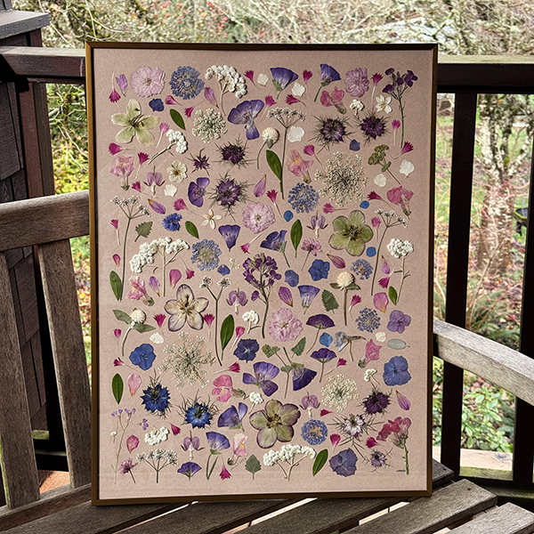 Pressed flowers on tan paper in a frame resting on wooden bench.