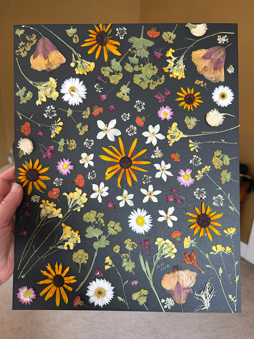 Pressed flower collage on black paper.